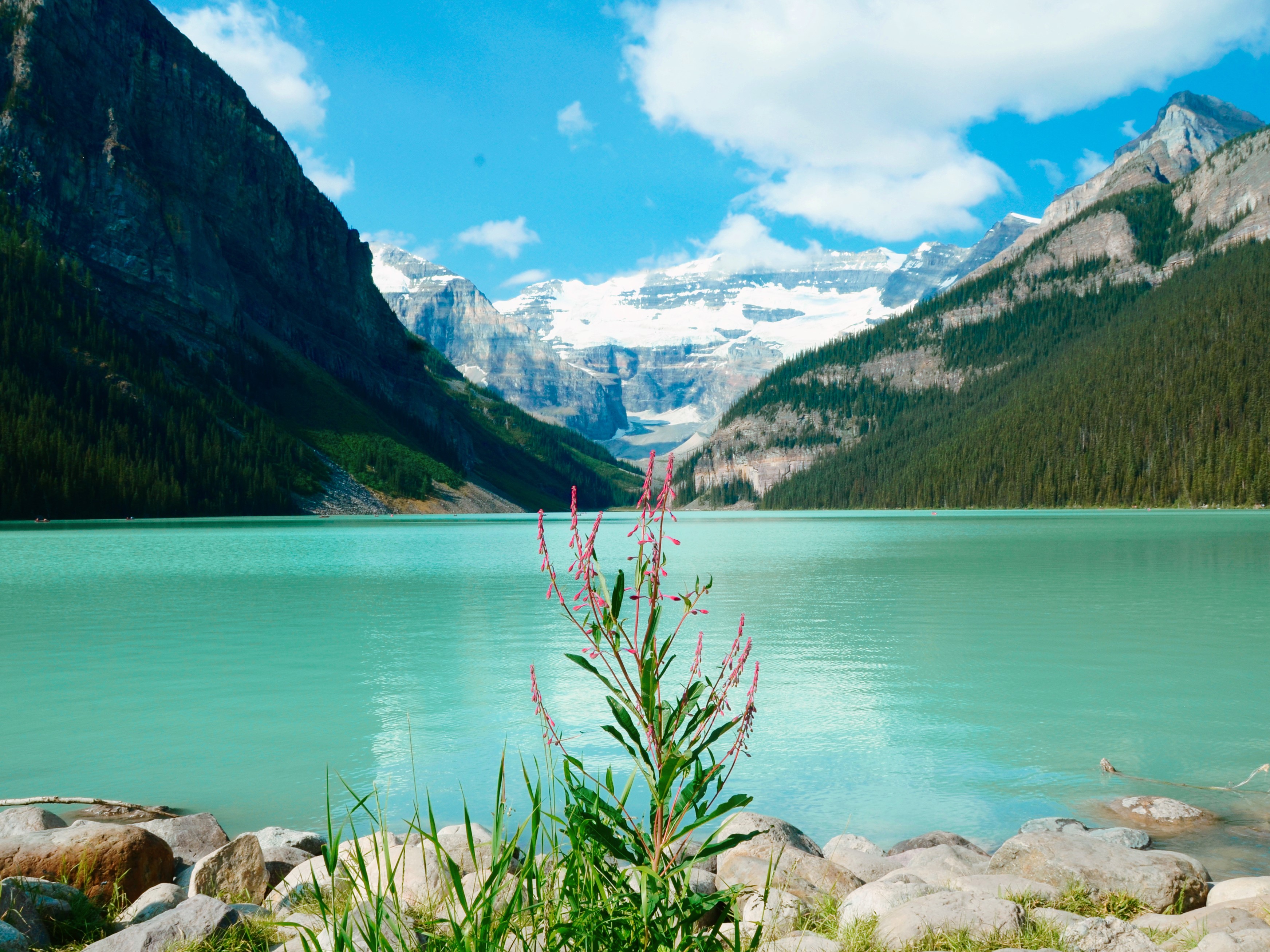 Banff