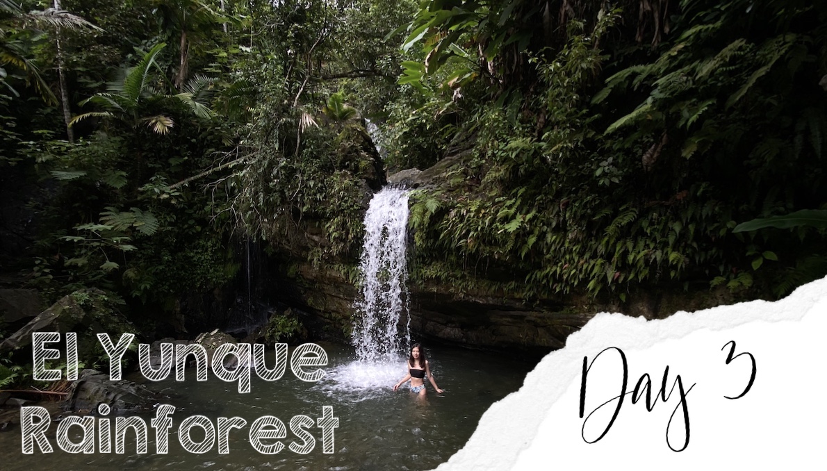 El Yunque